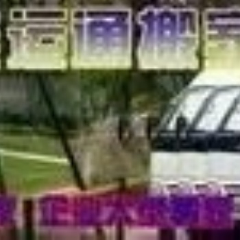 大连金石滩运通长途搬家到沈阳市电话