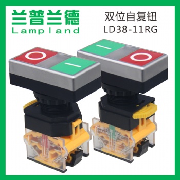 双位按钮开关LD38S-11RG/DRG自复式带灯自复式按钮开关