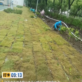 海绵备案施工验收 苏州富帆亿绿化建筑工程公司